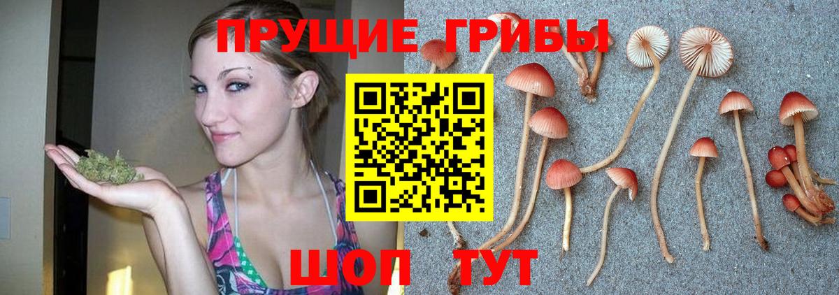 Галлюциногенные грибы MAGIC MUSHROOMS  Вход с VPN  Пугачёв 